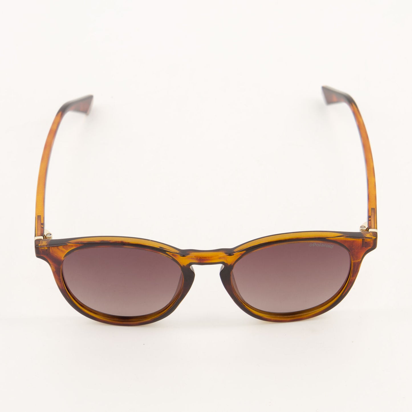 Polaroid - Brown Panthos Round Sunglasses