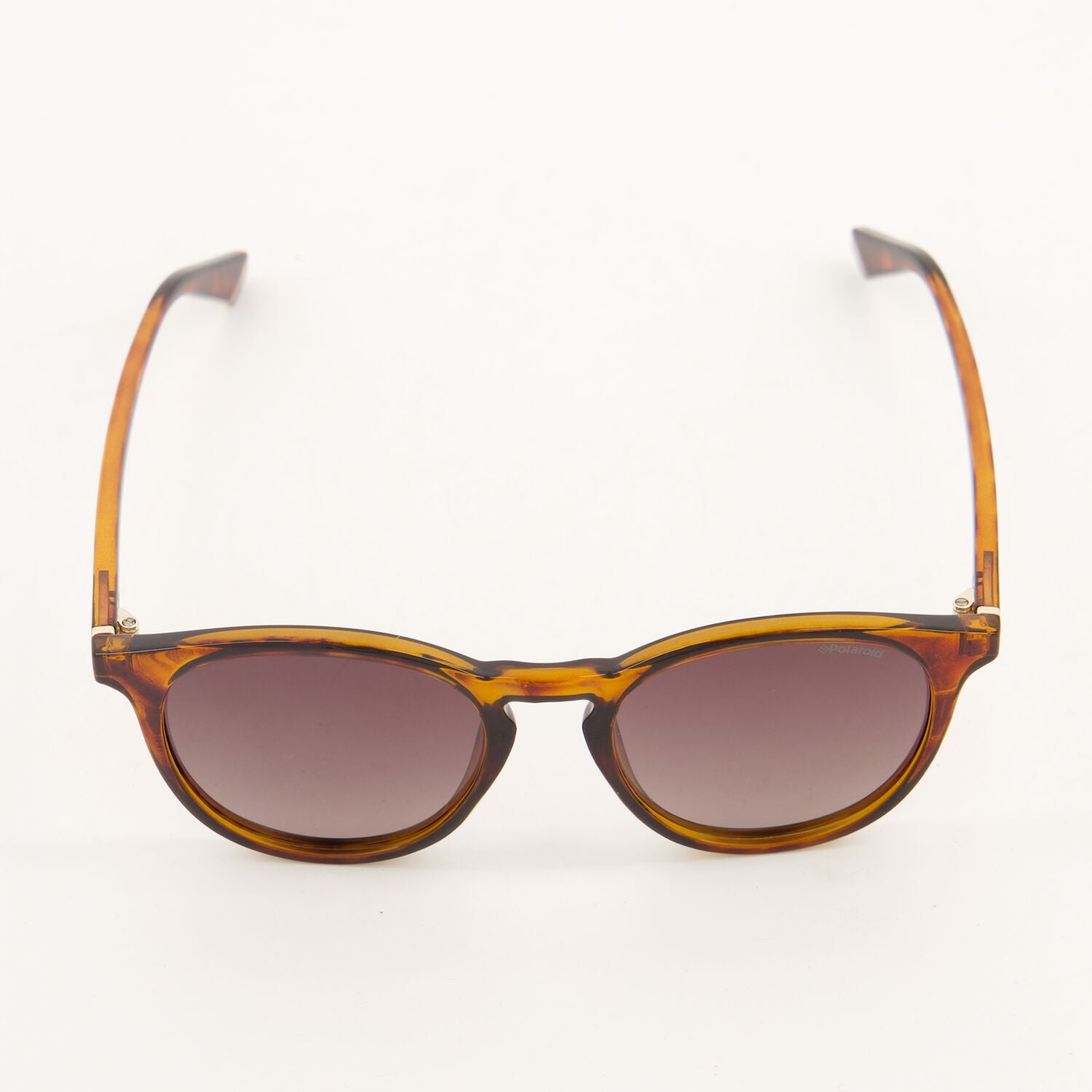 Polaroid - Brown Panthos Round Sunglasses