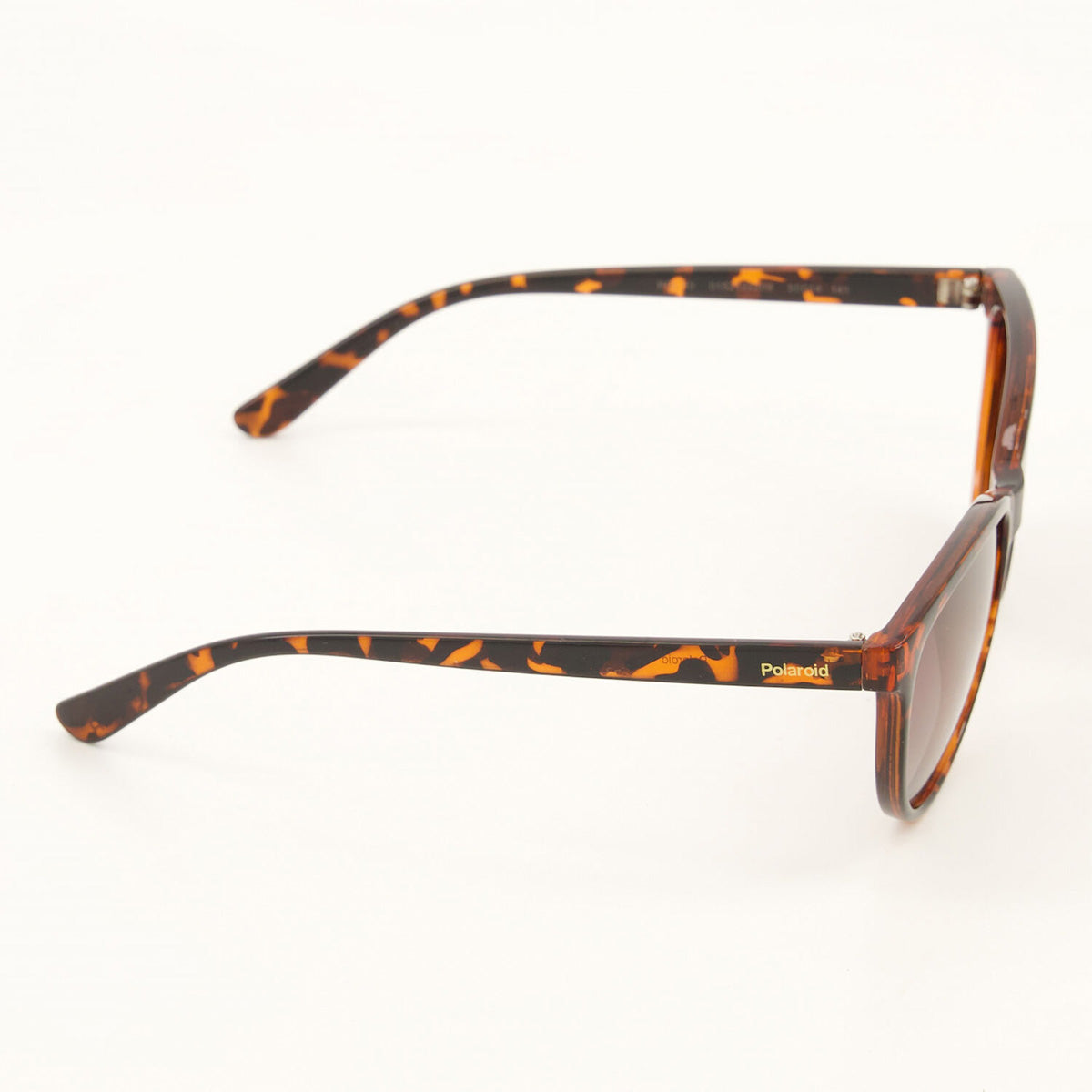 Polaroid - Brown Tortoise Shell POL10 Cat Eye Sunglasses